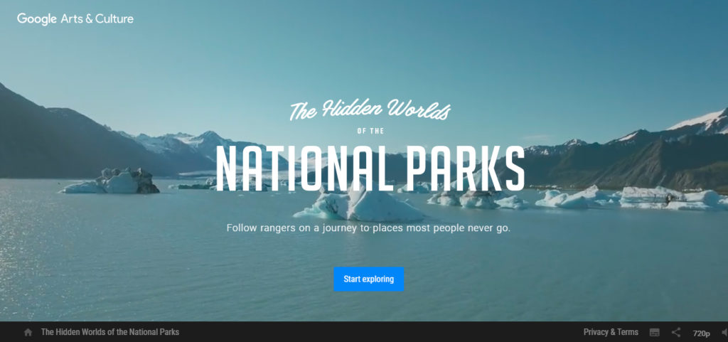 Video di sfondo in Homepage - Parchi Nazionali Google - Tendenza Web Design 2017
